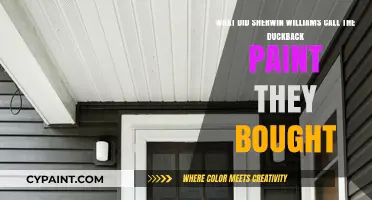 Sherwin-Williams' New Acquisition: The Evolution of Duckback Paint