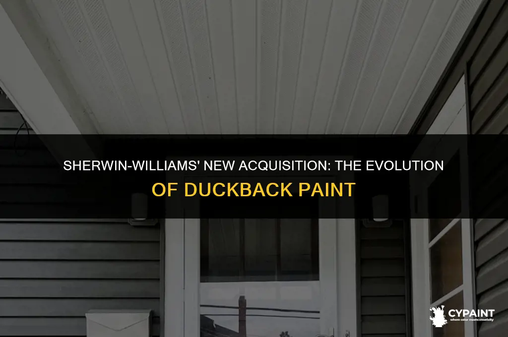 what did sherwin williams call the duckback paint they bought