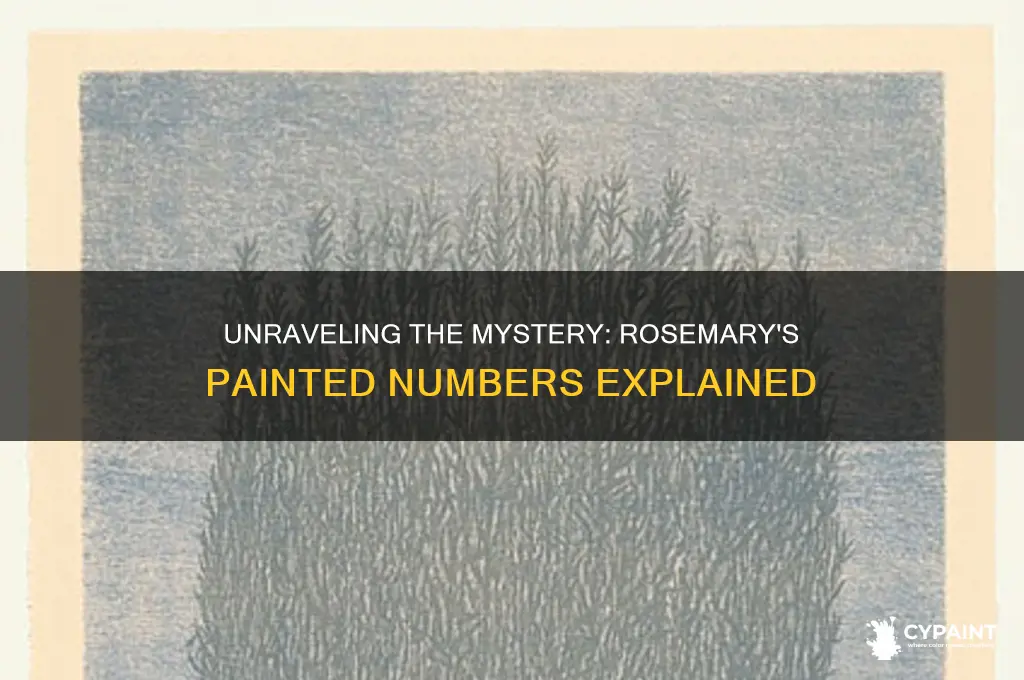 what did the numbers painted on rosemary mean