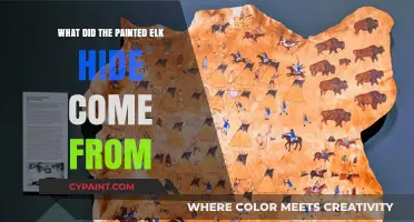 Unveiling the Mystery: Origins of the Painted Elk Hide