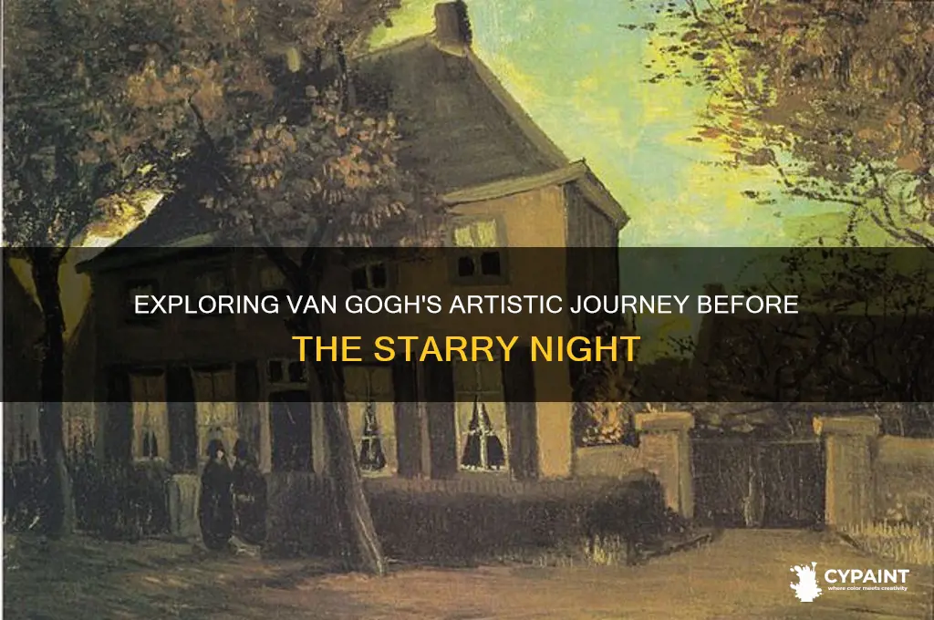 what did van gogh paint before starry night