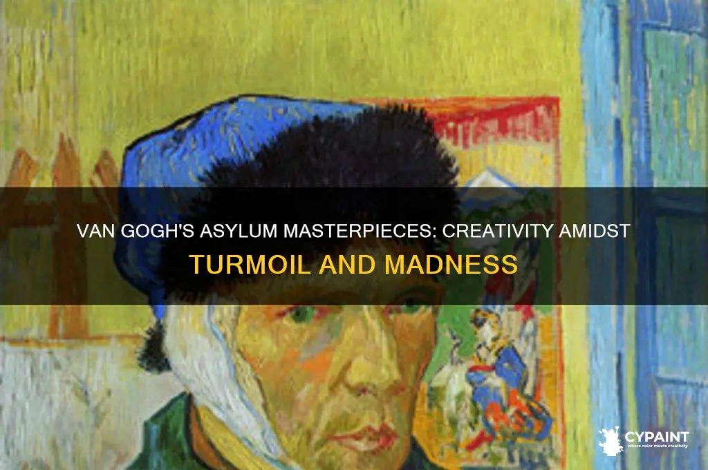 what did van gogh paint in insane asylum