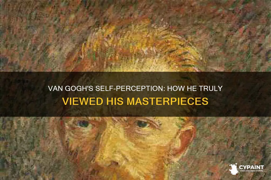 what did van gogh think of his paintings