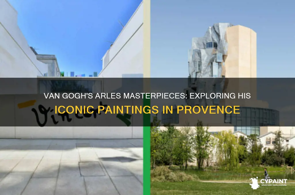 what did vincent van gogh paint in arles