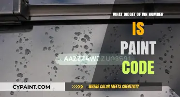 Understanding Your VIN: Decoding the Paint Code Digit