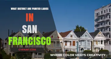 Discovering San Francisco's Painted Ladies: Which District Are They In?