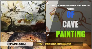 Unveiling the Mysteries: Anthropologists' Theories on Cave Painting Purposes