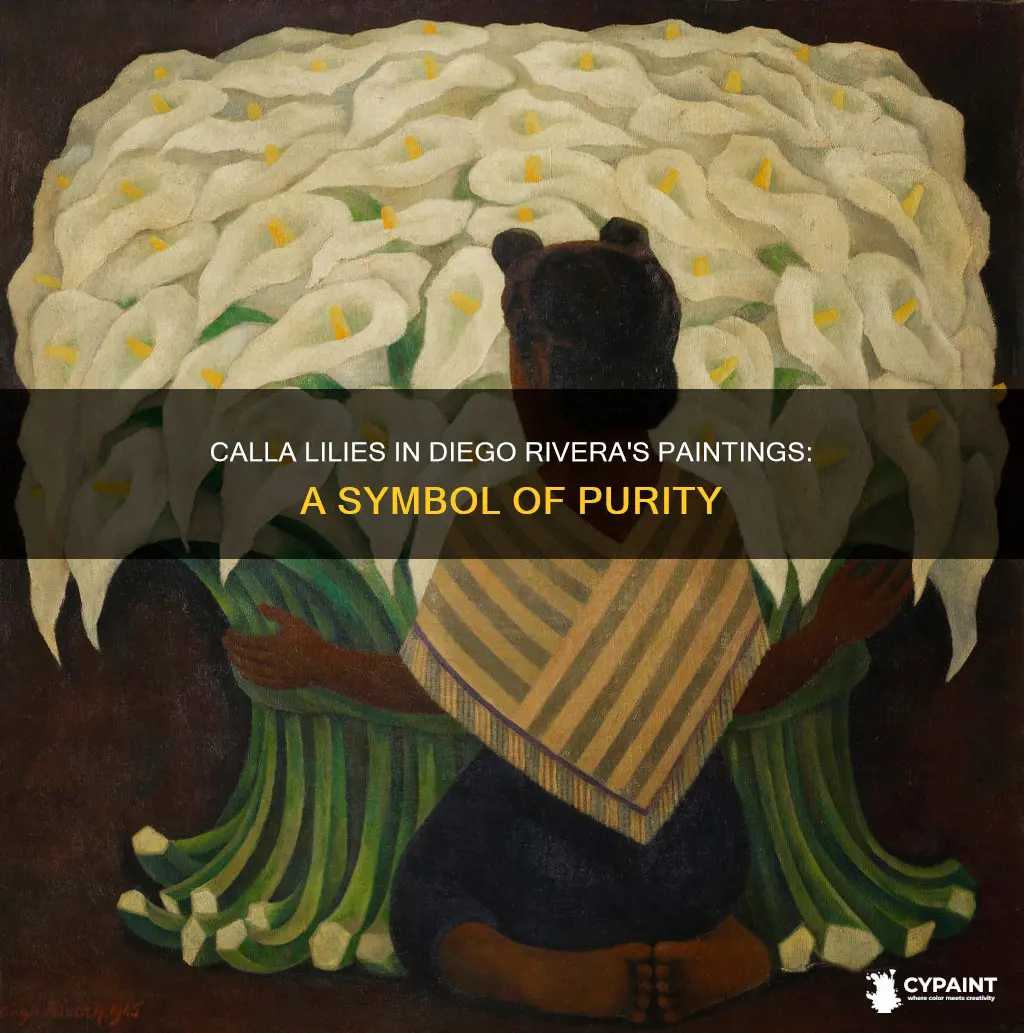 what do calla lilies represent in diego riveras paintings