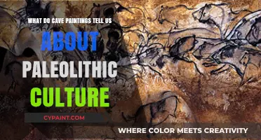 Unveiling Paleolithic Culture Through Ancient Cave Art