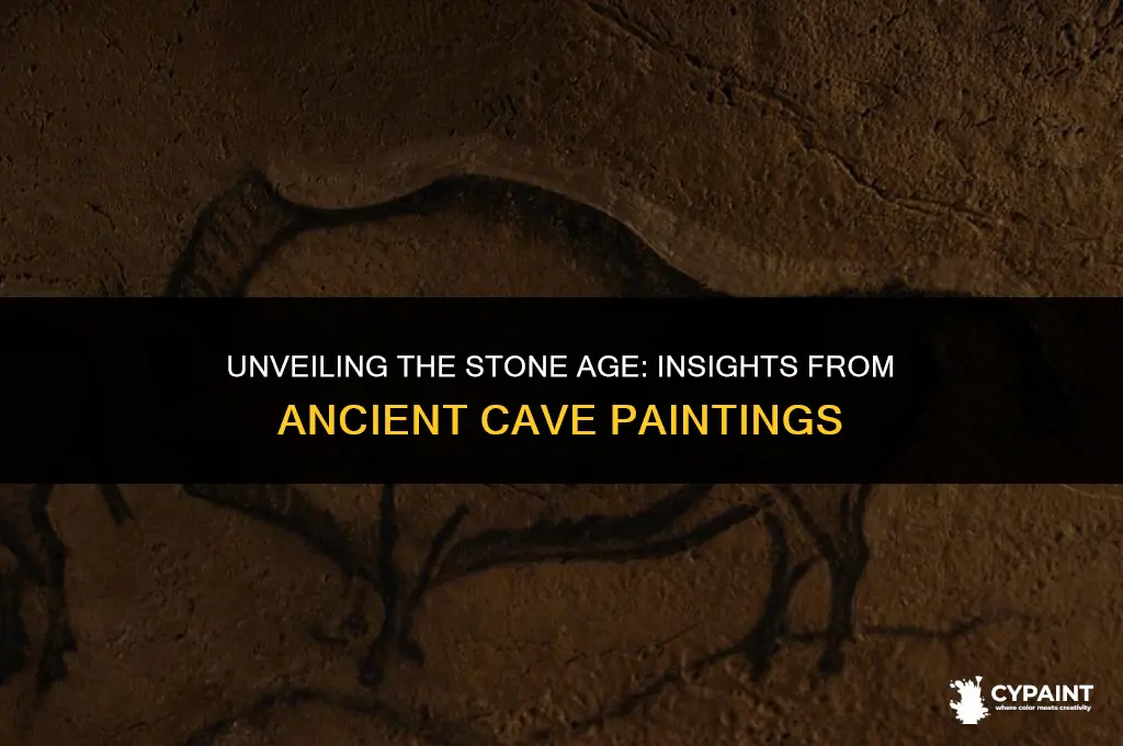 what do cave paintings tell us about the stone age