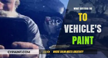 Eggs on Car Paint: Surprising Damage and Prevention Tips
