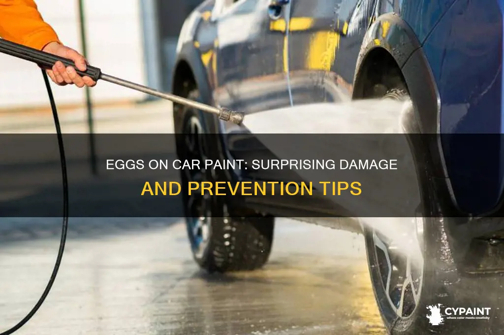 what do eggs do to vehicle