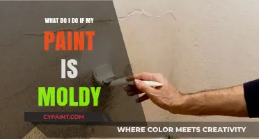How to Handle Moldy Paint