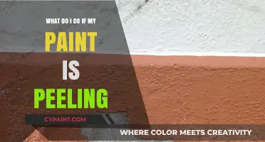 Fixing Peeling Paint: A Guide to Restoration