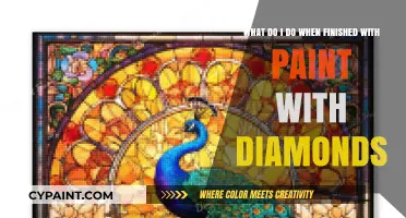 Unleashing Creativity: What to Do When You've Finished Your Paint with Diamonds Masterpiece