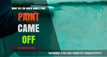 Reviving Your Gunite Pool: A Guide to Repainting and Restoration