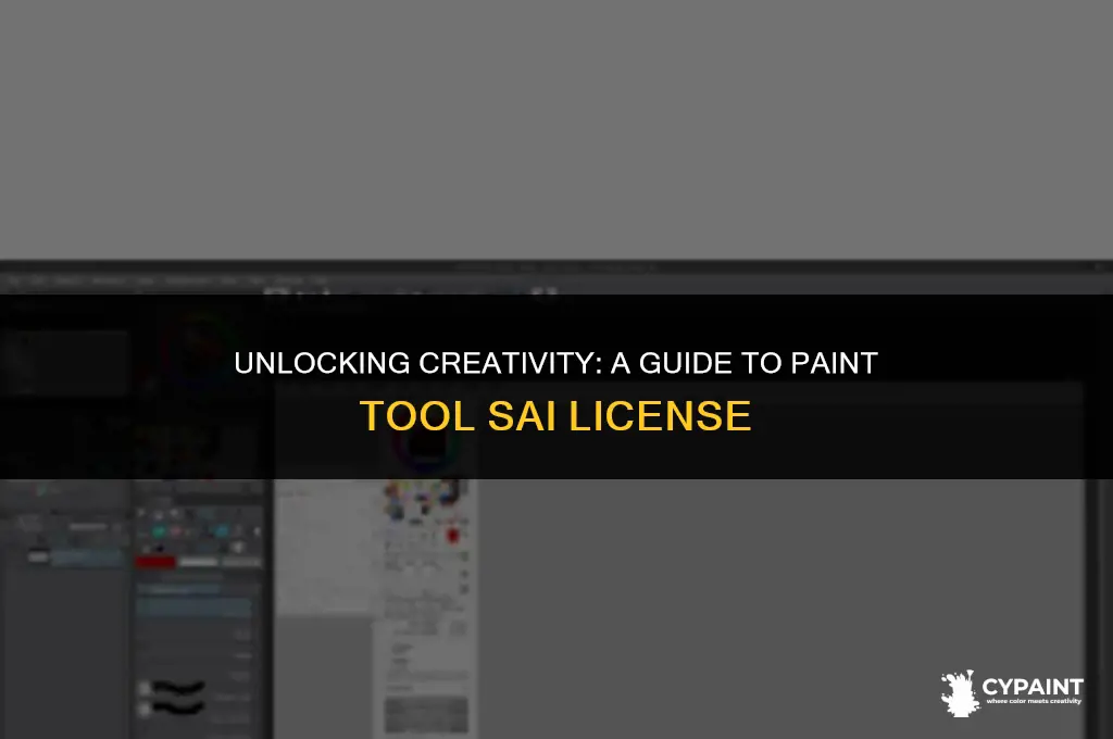 what do i do with my paint tool sai licence