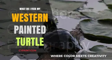 Nutritious Diet Guide for Your Western Painted Turtle's Health