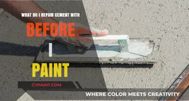 Fixing Cement Flaws: Preparing for a Perfect Paint Job
