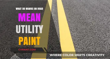 Decoding Utility Paint: Understanding Road Markings and Their Meanings