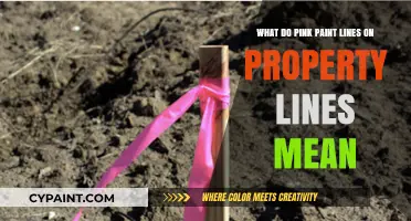 Why Are There Pink Lines on Property Lines?