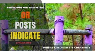 Decoding the Mystery: What Do Purple Paint Marks on Trees or Posts Indicate?