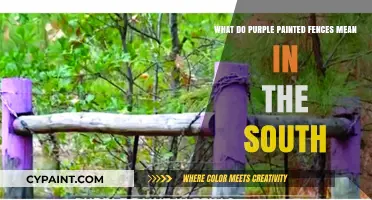 The Mystery of Purple Fences in the South