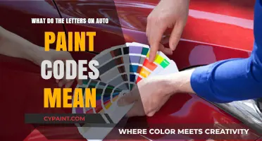 Decoding Auto Paint Codes: Understanding the Letter Meanings