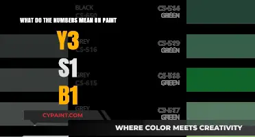 Decoding the Mystery: Understanding Paint Codes Like Y3 S1 B1
