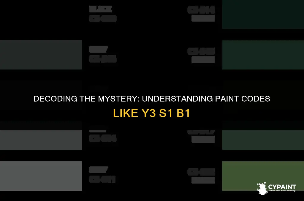 what do the numbers mean on paint y3 s1 b1