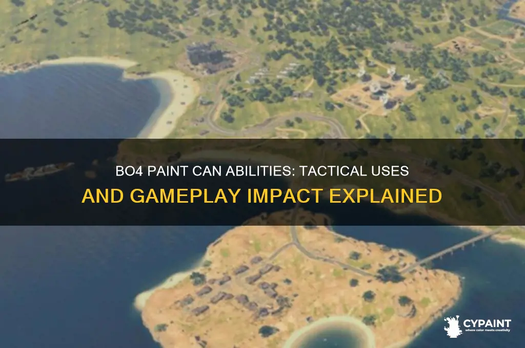 what do the paint can do in bo4