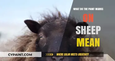 Decoding Sheep Paint Marks: Understanding Their Meaning and Purpose
