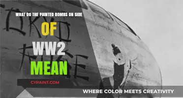 Decoding History: The Hidden Meanings Behind WWII Bomb Paintings