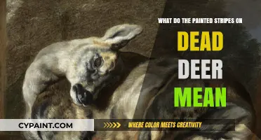 Why Do Hunters Paint Stripes on Dead Deer?