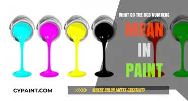 Understanding RGB Numbers: Decoding Paint Colors for Perfect Results