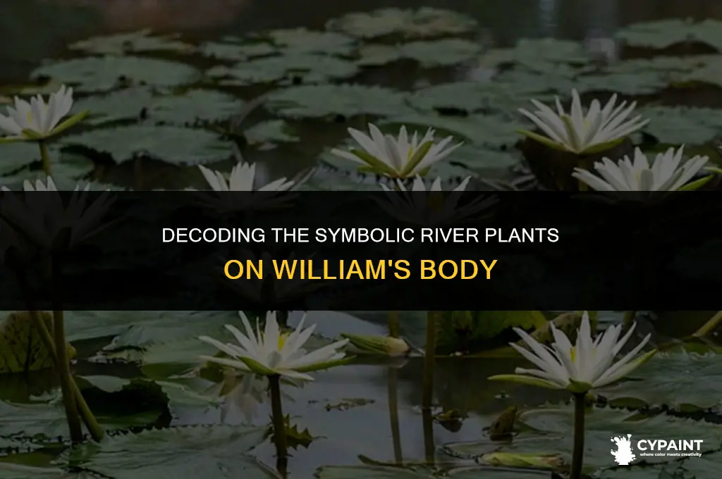 what do the river plants painted on williams body indicate