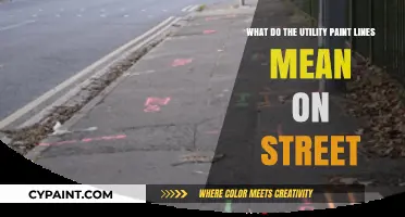Utility Paint Lines: Street Code for Underground Services