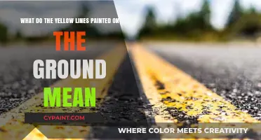 Decoding Road Safety: The Significance of Yellow Lines on the Ground