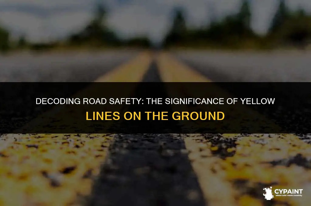 what do the yellow lines painted on the ground mean