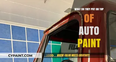 The Secret Sauce: Auto Paint Protection