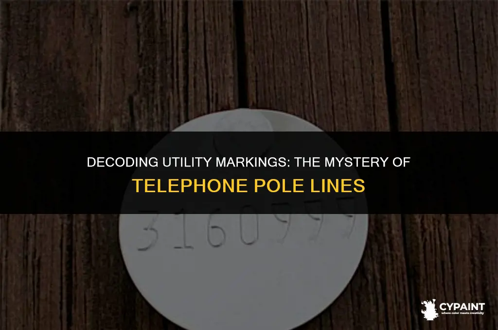 what do those 3 painted lines on telephone poles mean