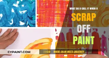 Unveiling the Art of Paint Scraping: Techniques and Tools