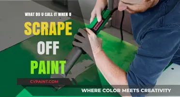 The Art of Paint Removal: Techniques and Tools for a Fresh Start