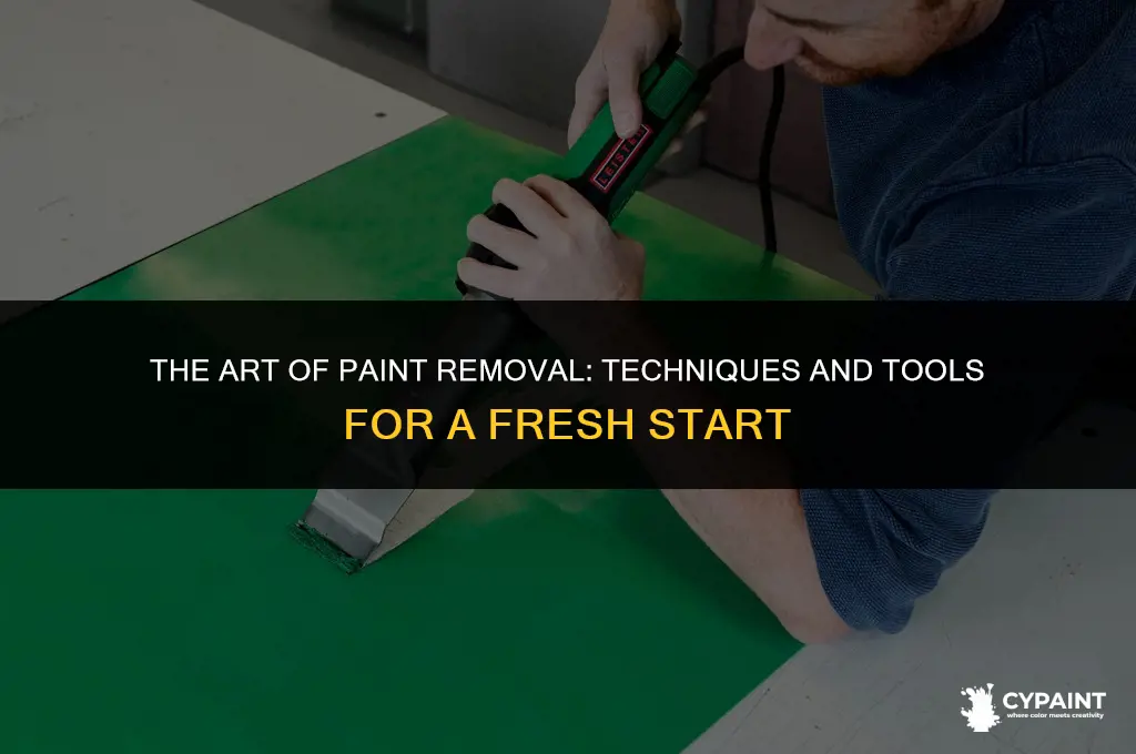 what do u call it when u scrape off paint