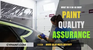 Assuring Quality Body Paint: The Art of Assurance