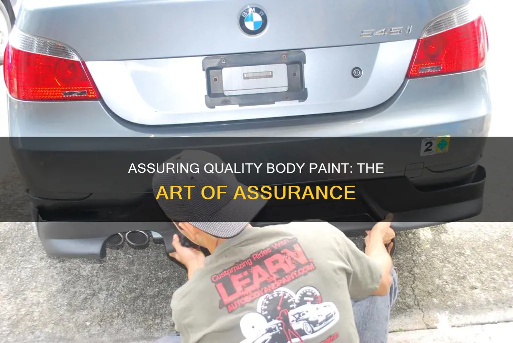 what do u do as body paint quality assurance
