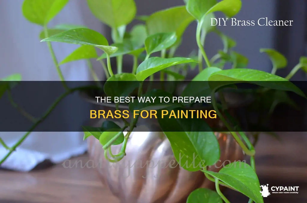 what do u wipe brass down with before painting