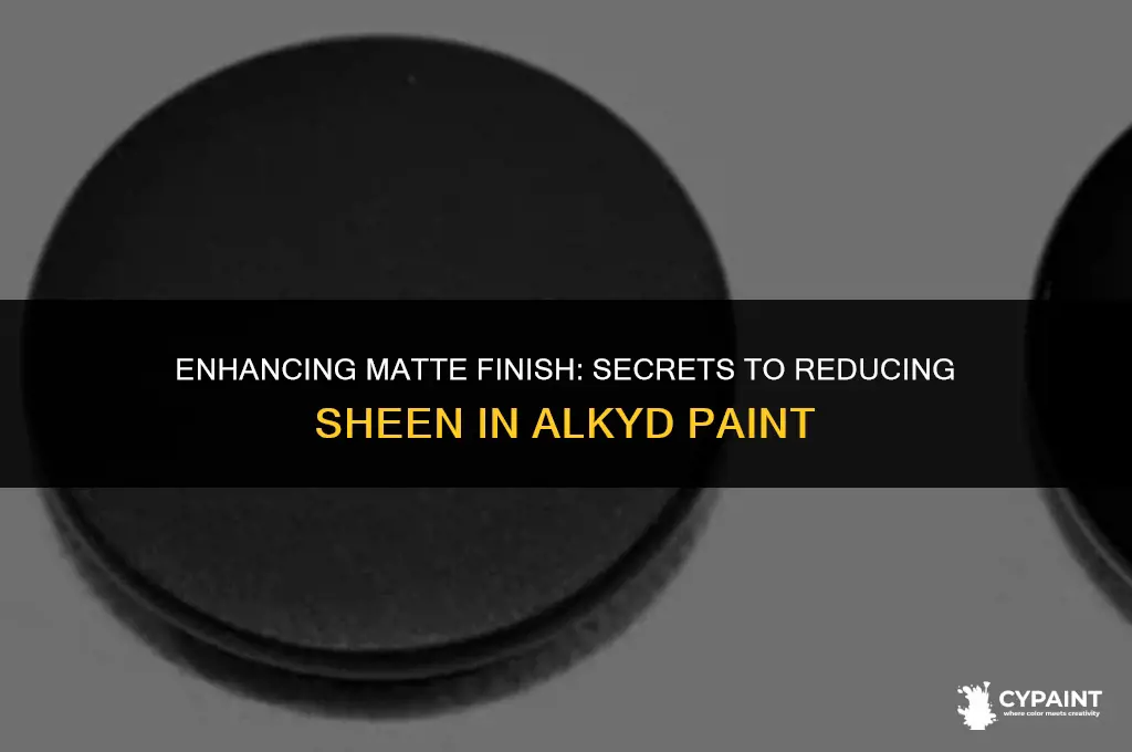 what do you add to alkyd paint to reduce sheen