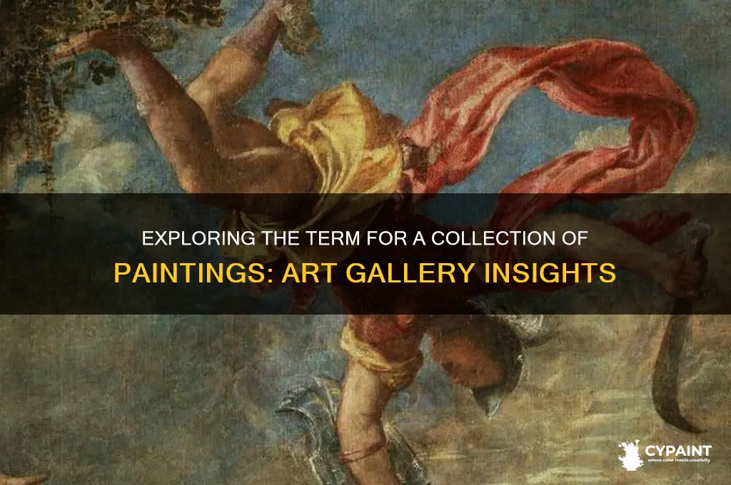 what do you call a collecyion of paintings