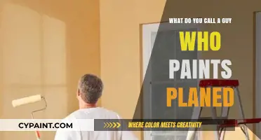 The Art of Transformation: Plane Painters' Creative Talents